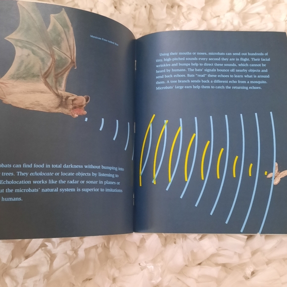 Science, Safety, Social Studies & Skills Children's Book Bundle 5 Books Used - Picture 15 of 16